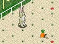                                                                     Animal 4 Steps קחשמ