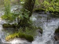                                                                     Plitvice Lake Jigsaw קחשמ