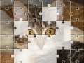                                                                     Jigsaw: The Kitten קחשמ