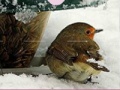                                                                     Little Bird And Snow Puzzle  קחשמ