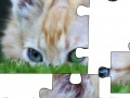                                                                     Jigsaw: Cat Hiding קחשמ