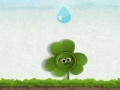                                                                     Clover Flower קחשמ