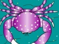                                                                     Crab Coloring  קחשמ