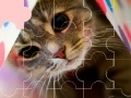                                                                     Cat really cute 3 puzzle קחשמ