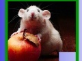                                                                     Puzzle: Apple and Mouse קחשמ