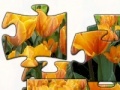                                                                     Tulip 2 jigsaw puzzle  קחשמ