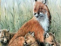                                                                     Fox family in the nature puzzle קחשמ