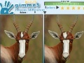                                                                     Gimme 5 Wildlife קחשמ
