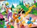                                                                     Mickey Garden קחשמ