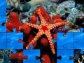                                                                     Starfish קחשמ