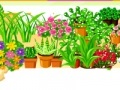                                                                     Chloe Garden Design  קחשמ