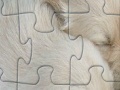                                                                     Puppies jigsaw קחשמ