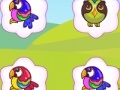                                                                     Bright Birds Matching קחשמ