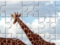                                                                     Giraffes Jigsaw Puzzle קחשמ