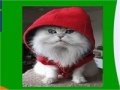                                                                     Hooded cat slide puzzle קחשמ