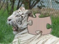                                                                     Jigsaw White Tiger  קחשמ