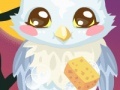                                                                     Owl Care קחשמ