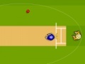                                                                     Cricket World Cup 2011 קחשמ