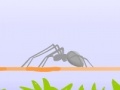                                                                     Spider Fighting קחשמ