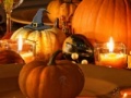                                                                     Hidden Objects-Halloween Room קחשמ