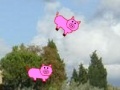                                                                     Shoot the pigs קחשמ
