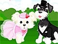                                                                     Dress puppies קחשמ
