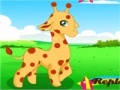                                                                     Cute Giraffe קחשמ