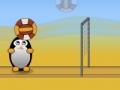                                                                     Volleyball Penguins קחשמ