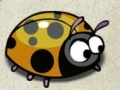                                                                     Nervous Ladybug קחשמ