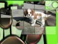                                                                     Pretty Puppies Puzzles קחשמ