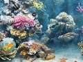                                                                     Underwater World קחשמ